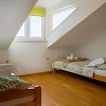 House Fidulic - Penthouse The View *